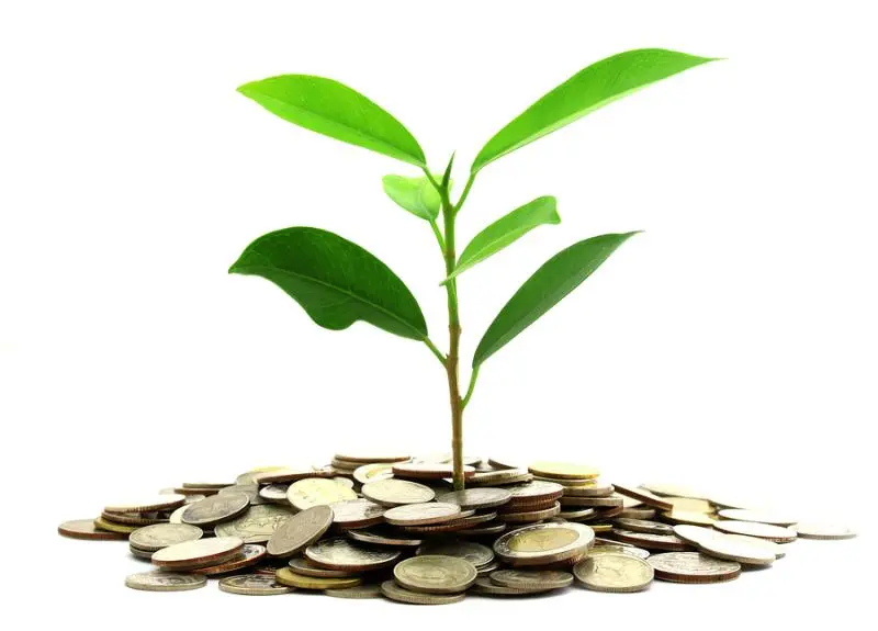 Инвестиции SKF в сохранение экологии | Свежие новости в Йошкар-Оле